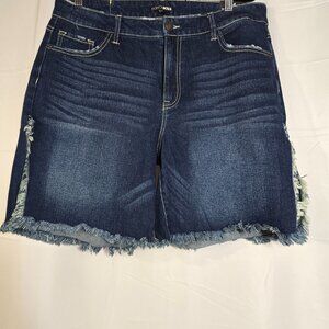 Fashion Nova Jean Shorts (14)